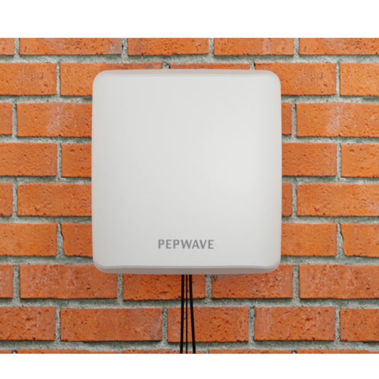Peplink IoT 20G - ANT-IOT-20G-S-W-16
