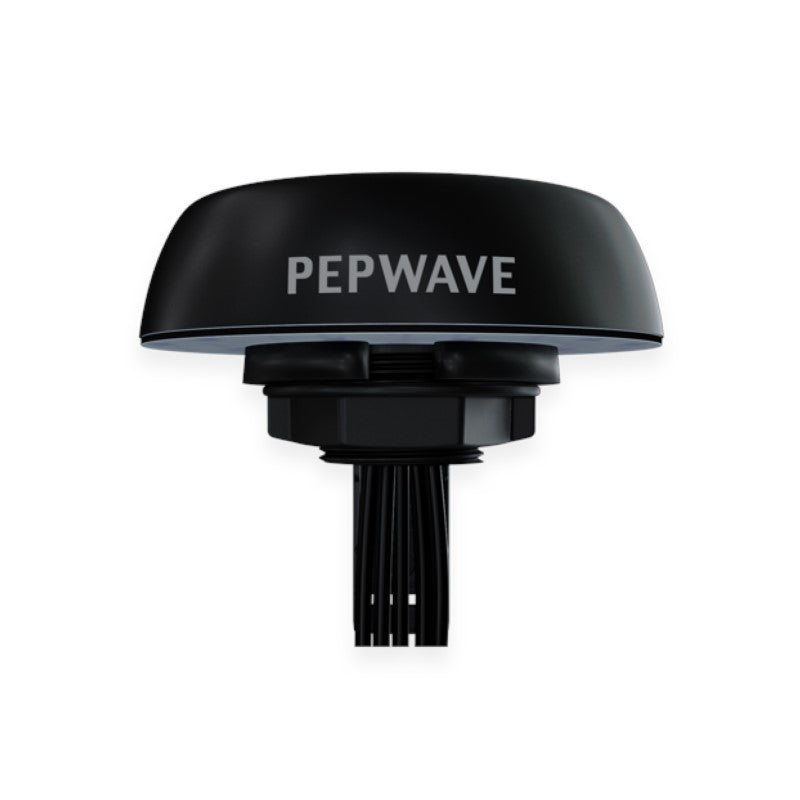 Peplink Mobility 22G - ANT-MB-22G-Q-B-1