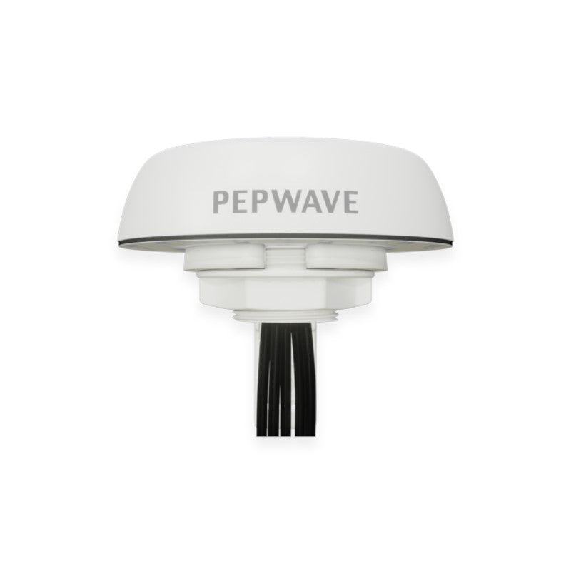 Peplink Mobility 22G - ANT-MB-22G-S-W-6