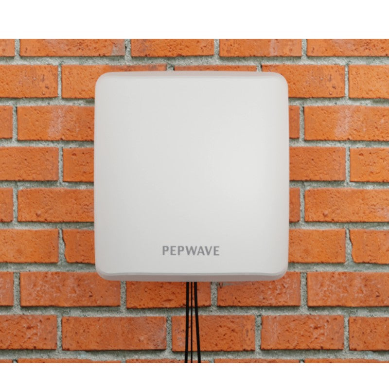 Peplink IoT 20G - ANT-IOT-20G-N-W-2