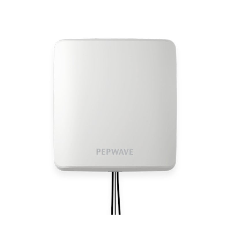 Peplink IoT 20G - ANT-IOT-20G-N-W-2