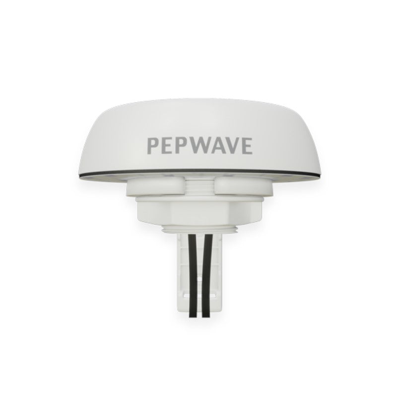 Peplink Mobility 02 - ANT-MB-02-R-W-6