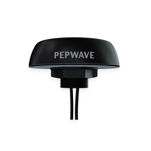 Peplink Mobility 20G - ANT-MB-20G-Q-B-1