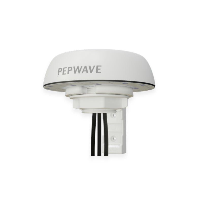 Peplink Mobility 20G - ANT-MB-20G-Q-W-1