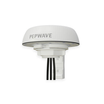 Peplink Mobility 20G - ANT-MB-20G-Q-W-1