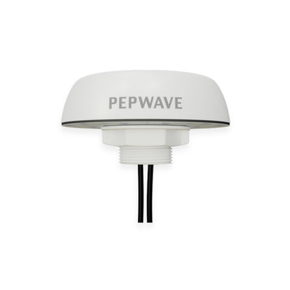 Peplink Mobility 20G - ANT-MB-20G-Q-W-1