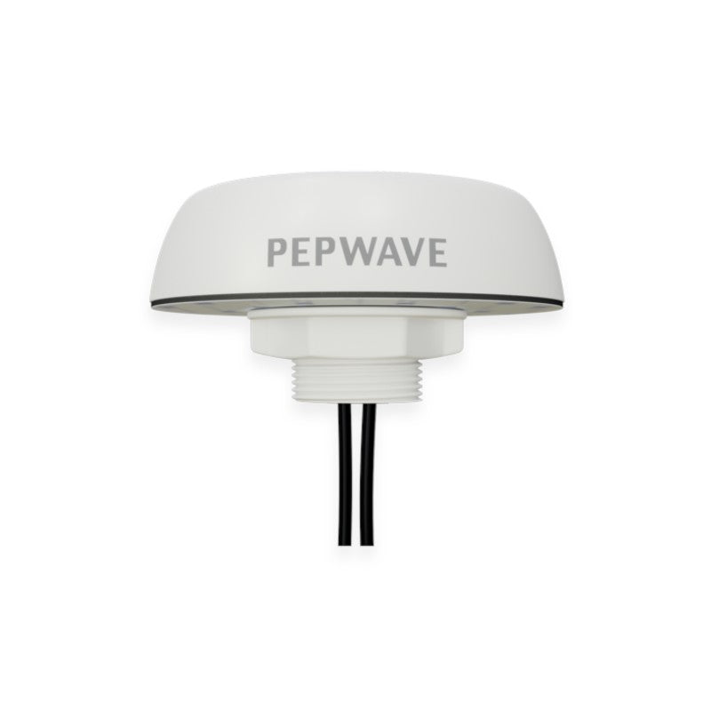 Peplink Mobility 20G - ANT-MB-20G-S-W-6