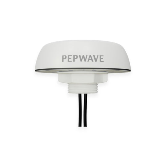 Peplink Mobility 20G - ANT-MB-20G-S-W-6