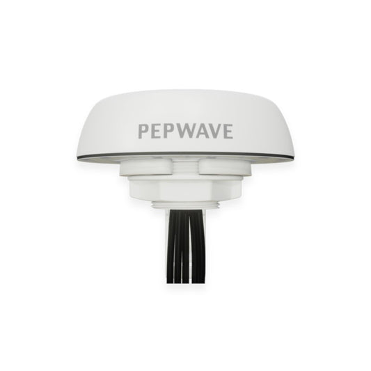 Peplink Mobility 22G - ANT-MB-22G-S-W-6