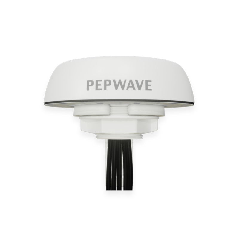Peplink Mobility 40G - ANT-MB-40G-Q-W-6