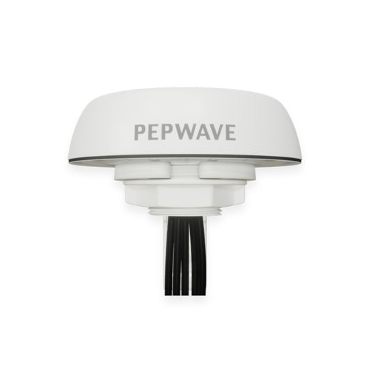 Peplink Mobility 40G - ANT-MB-40G-Q-W-6