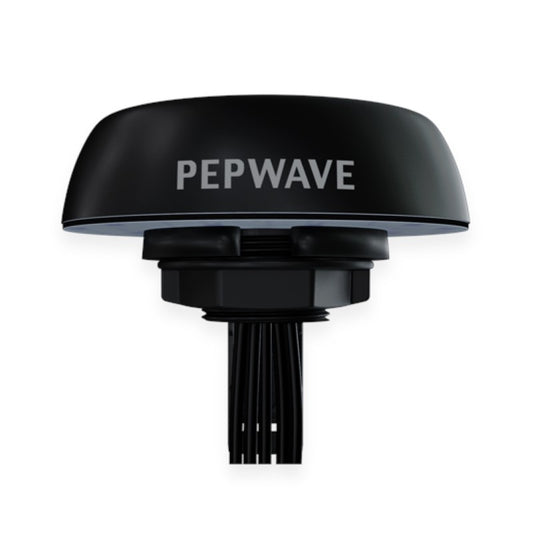 Peplink Mobility 40G - ANT-MB-40G-Q-B-1