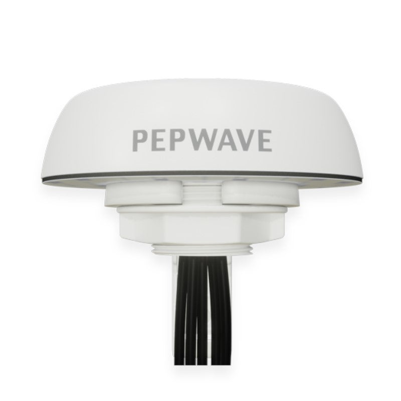 Peplink Mobility 40G - ANT-MB-40G-N-W-6