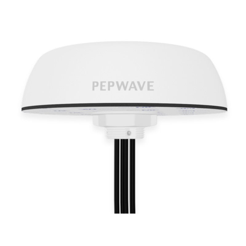 Peplink Mobility 42G - ANT-MB-42G-Q-W-1