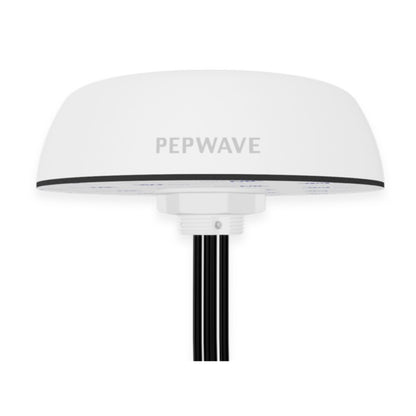 Peplink Mobility 42G - ANT-MB-42G-Q-W-1