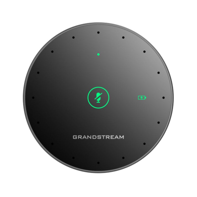 Grandstream GMD1208