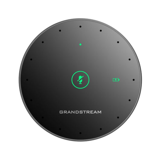 Grandstream GMD1208