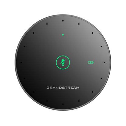 Grandstream GMD1208
