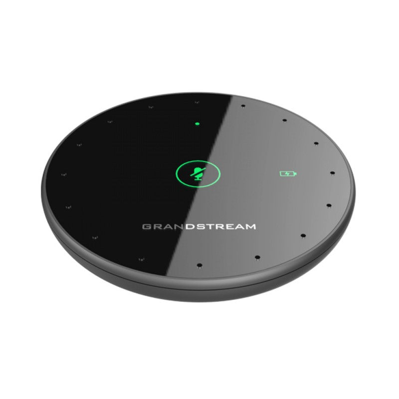 Grandstream GMD1208
