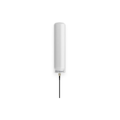 Peplink Maritime 10 - ANT-MR-10-N-W