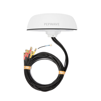 Peplink Mobility 42G - ANT-MB-42G-S-W-16
