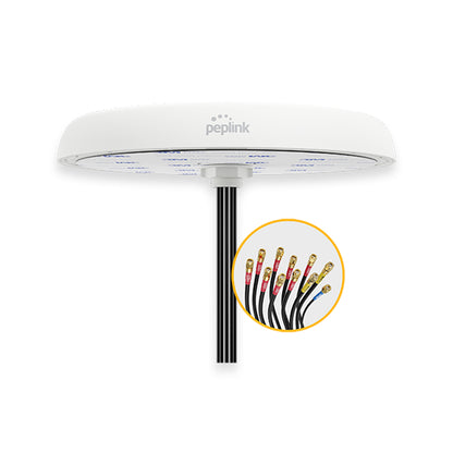 Peplink Mobility 82G - ANT-MB-82G-S-W-6